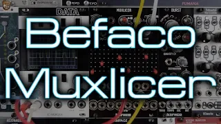 Befaco - Muxlicer (bi-directional switch, sequencer, advance pattern generator and more!)