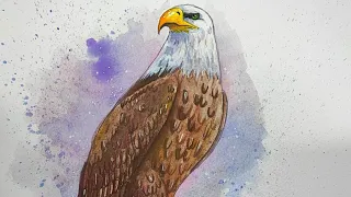 Cómo dibujar un Águila - Explicado Paso a Paso