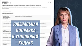 Ювенальная правка в УК РФ. Право родителя на воспитание будет сведено на нет.