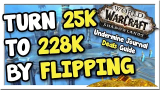 Turn 25k into 228k With Flipping! | TUJ Deals Guide | Shadowlands | WoW Gold Making Guide