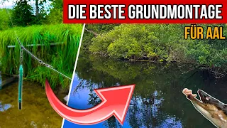 Die BESTE Grundmontage für Aale am Fluss und See! 😱 - Aalangeln im Sommer 2023