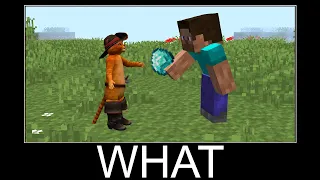 Puss in Boots in Minecraft wait what meme part 151