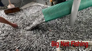 Everyone Should Watch This Fishermen's Video - Amazing Fishermen Catching Fish By The Big Net