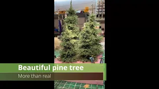 How to make Pine tree more than real