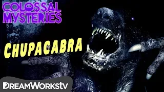 What is El Chupacabra? | COLOSSAL MYSTERIES