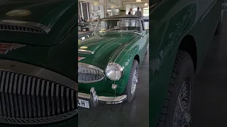 Austin Healey 3000 #carglimpses #austinhealey #classiccars #vintagecars #carmuseum