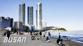 Busan is a great city for walking | Dongbaek Island | Haeundae Beach | KOREA | CentumWalk 4K HDR