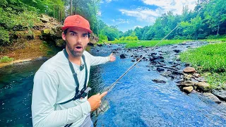 BITTEN While Fishing REMOTE RIVER Hidden in the Mountains! -- (SO LOADED)