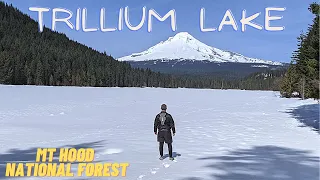 MOST POPULAR LAKE HIKE IN OREGON | Trillium Lake | Pacific Northwest