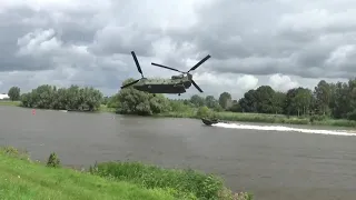 Chinook chasing a boat