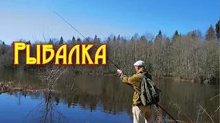 На рыбалку за первой уклейкой