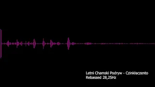 Letni Chamski Podryw   Czinkłaczento Rebassed 28,25Hz