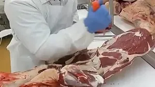 Обвалка яловичини ( Лопатка )/ ( cutting beef )