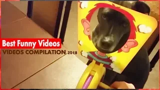 Popular Funny Videos - Watch Best Funny Comedy Videos 2018 | Part 14 | October 2018