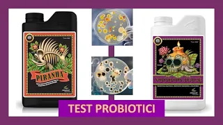 TEST PIRANHA E VOODOO JUICE - Testo i probiotici di Advanced Nutrients