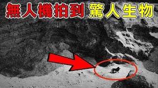 世界上最後一只麒麟現身！無人機在峽谷拍攝到了上古生物！如果不是視頻流出你絕對不會相信！#top10 #世界之最 #冷知識 #排名 #地球 #大自然 #麒麟 #生物 【地球解說員】