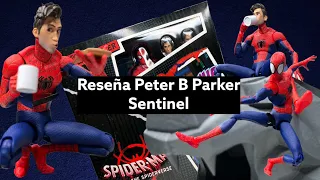 EL MEJOR SPIDERMAN DE MI COLECCIÓN 🤯 - Reseña Peter B Parker  Sentinel