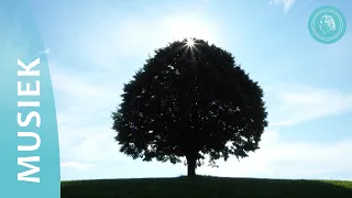 "En in die middel van die tuin" - natuurfoto's en musiek deur Bruno Gröning-Vriende