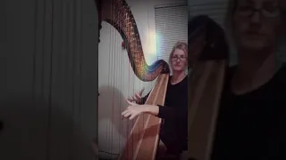 Sweden Minecraft theme on harp