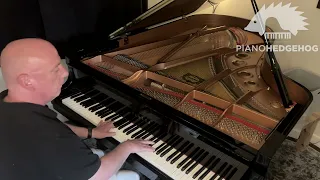 A Million Dreams - from The Greatest Showman - [Piano Hedgehog piano interpretation cover]