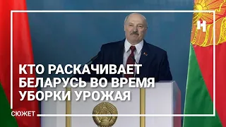 Кто раскачивает Беларусь во время уборки урожая. Главное из послания Лукашенко