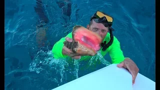 Queen Conch in The Exuma Cays, Staniel Cay {Catch Clean Cook}