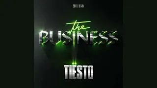 TIESTO - THE BUSINESS (SHULL REMIX)