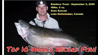 Incredible!  Top 10 Freshwater Fish World Records in 90 Seconds! 😎