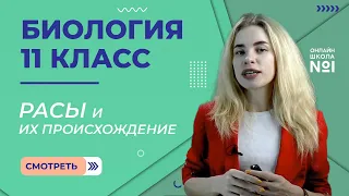 Расы и их происхождение. Видеоурок 16. Биология 11 класс