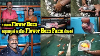 20 വർഷത്തെ Flower Horn അനുഭവങ്ങളുമായി ഒരു കിടിലൻ Kerala Flower Horn Farm  വിശേഷങ്ങൾ BBC Aqua Farm