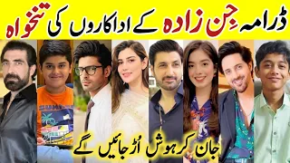 Jinnzada Drama Cast Salary Last  Episode |Jinnzada All Cast Salary #Jinnzada #SyedJibran #Humtv#sa