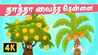Thatha Vaitha Thennai | chellame chellaml | Tamil Rhymes for kutties