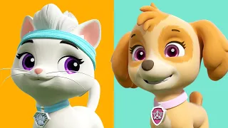 Cat Pack PAW Patrol Rescues 🐾| PAW Patrol | Cartoons for Kids