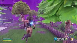 Stonewood - Before and After Science - Fortnite Save The World