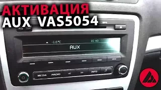 Активация AUX на SWING. VAS5054. ASP