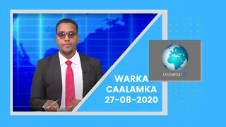 Warka Universal Tv 27 08 2020