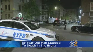 Police Investigating Stabbing In The Bronx