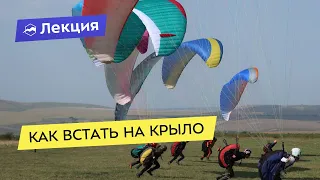 Как встать на крыло. Виды и особенности парапланеризма