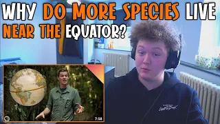 British Guy Reacts To Why Do More Species Live Near The Equator?