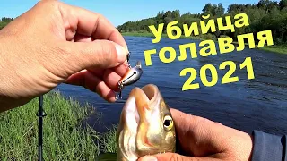 Убийца ГОЛАВЛЯ 2021 года. Река Западная Двина