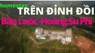 Homestay TRÊN ĐỈNH ĐỒI ở BÁN LUỐC  - HOÀNG SU PHÌ - Hà Giang | mùa Vàng Tây Bắc