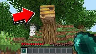 O QUE TEM DENTRO DE UMA COLMÉIA DE ABELHAS DO MINECRAFT?