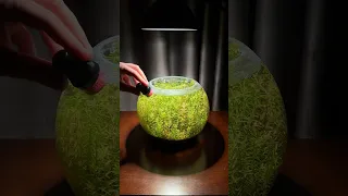 Algae scraper to clean your tank