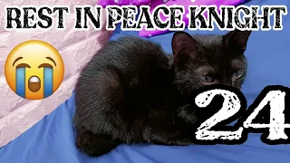 REST IN PEACE KNIGHT!!! 😭😭😭 | VLOG 24