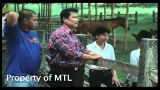 Tatlong Baraha - Part 5/8 (2006 Movie) - Lito Lapid, Mark Lapid, Maynard Lapid