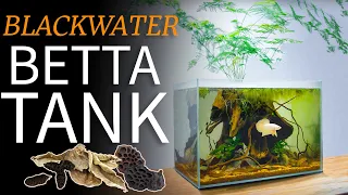 How to Setup a Simple Blackwater Betta Tank: TUTORIAL