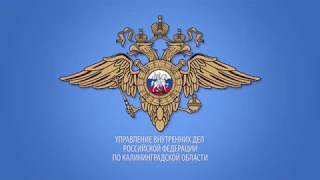 Сотрудники калининградского уголовного розыска задержали подозреваемых в серии грабежей