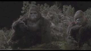 KING KONG LIVES (1986) miniature effects