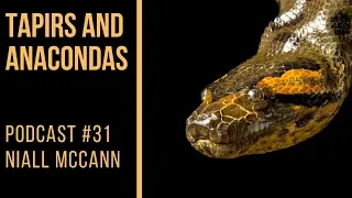 PODCAST #31: Niall McCann - Tapirs + Anacondas