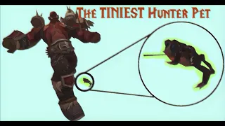 The TINIEST Hunter Pet in World of Warcraft